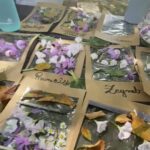 Screenshot_20251208_165202_Gallery