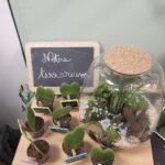 Screenshot_20251208_165321_Gallery